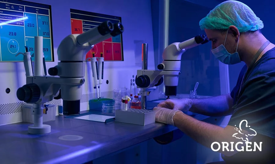 Imagem ilustrativa de trabalho com microscópio em laboratório de reprodução assistida